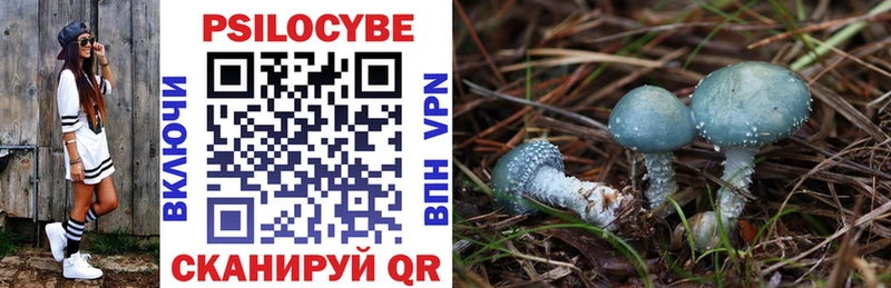 Псилоцибиновые грибы MAGIC MUSHROOMS закладка Кулебаки